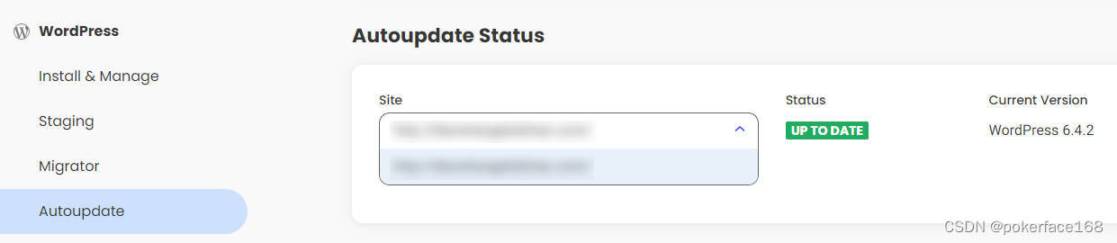 检查网站的WordPress版本状态