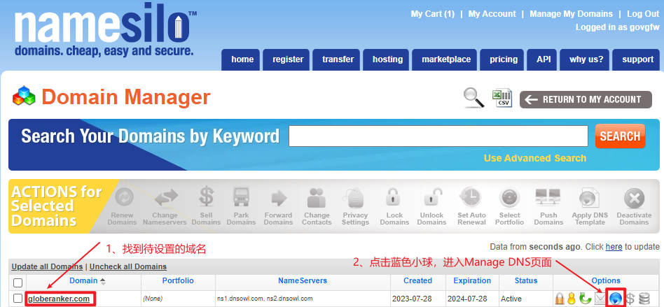 进入ManageDNS页面