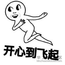 开心到飞起.jpg