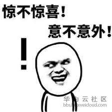 惊不惊喜，意不意外.jpg