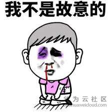 我不是故意的.jpg