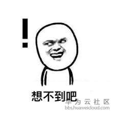 想不到吧.jpg