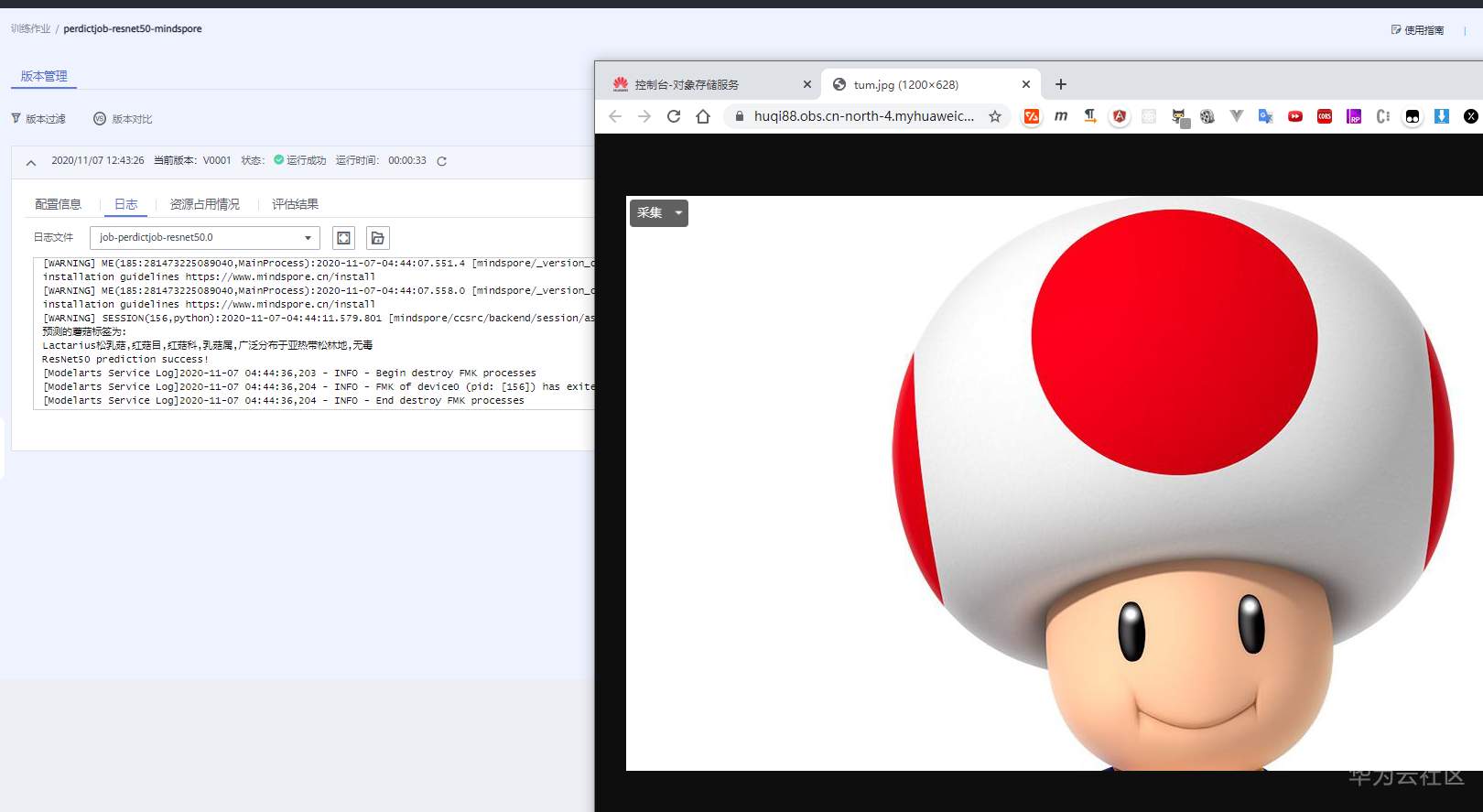perdict-result1.png