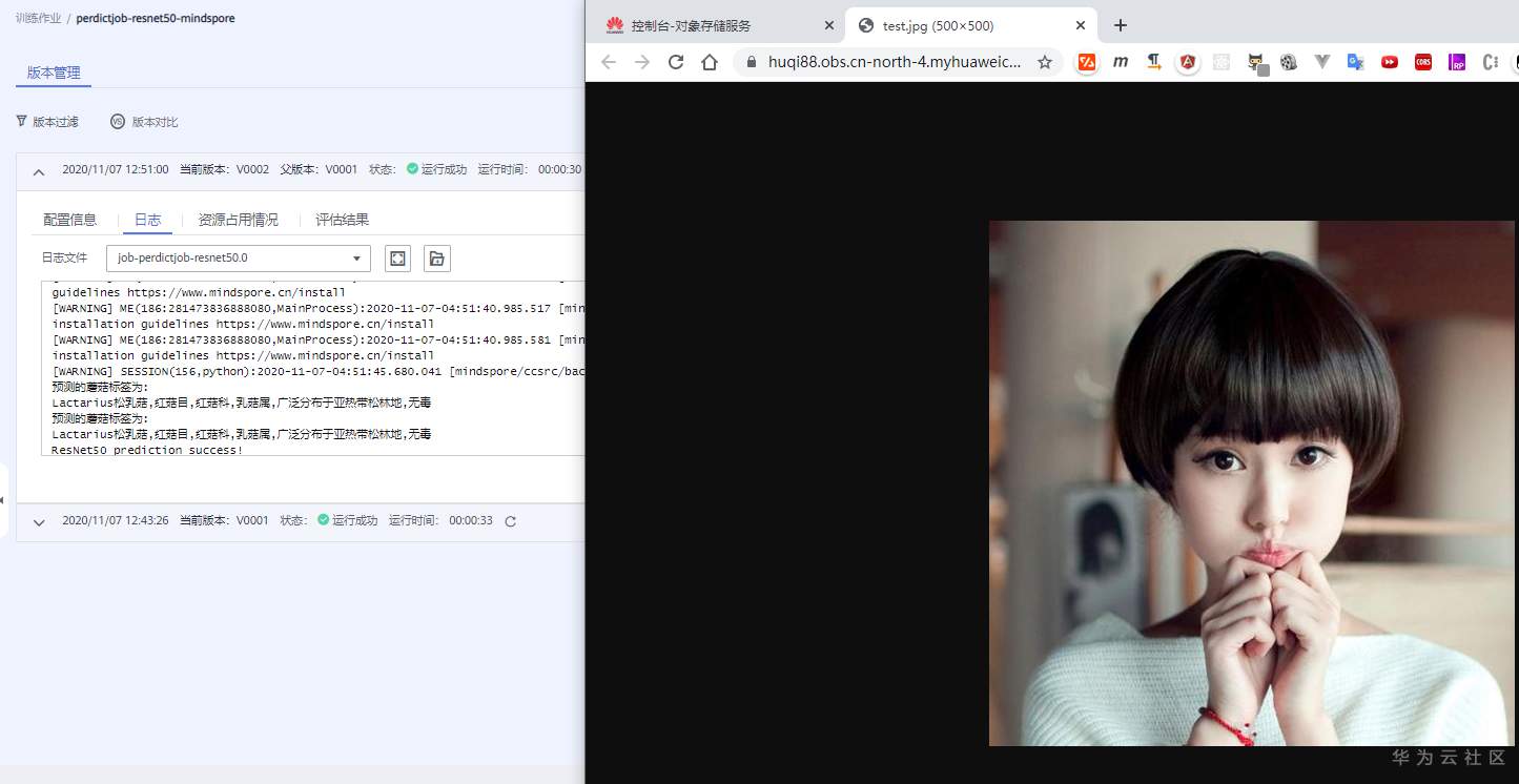 perdict-result2.png