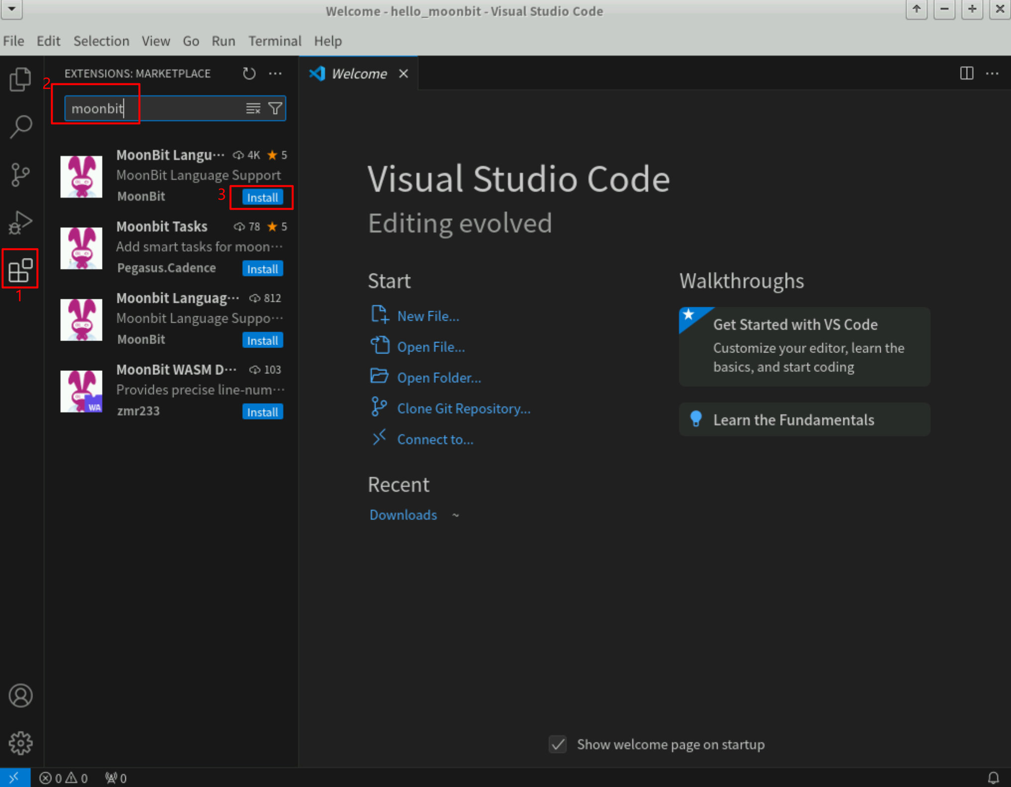 安装 MoonBit Language 插件