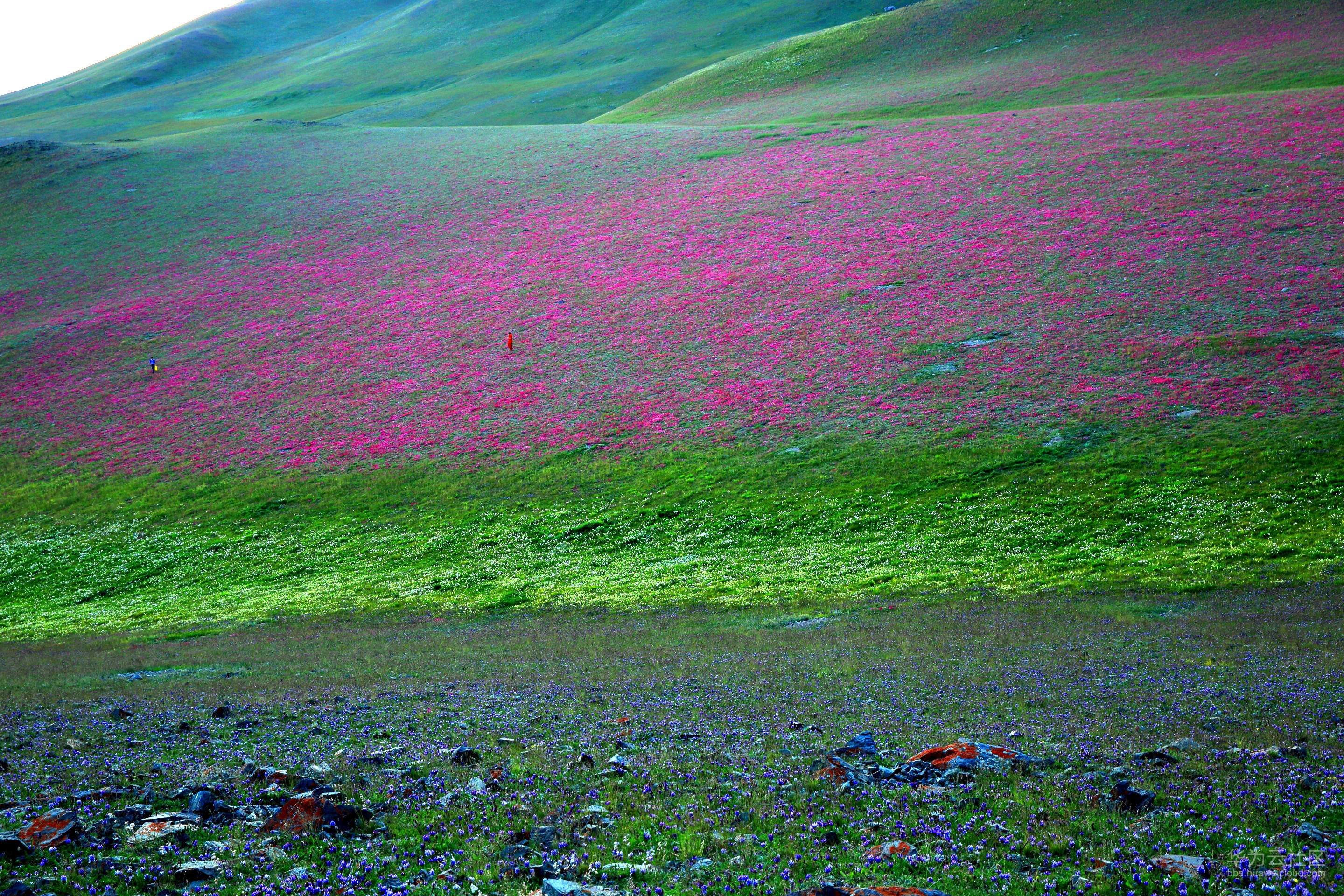 1531887853795323.jpg 0718_12.jpg