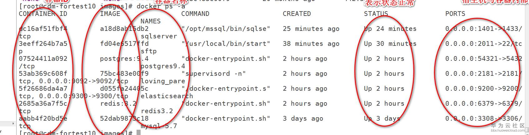 1533707378819536.png 3.PNG