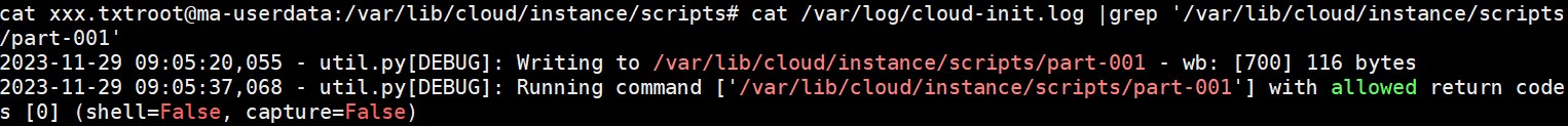 userdata-run.PNG