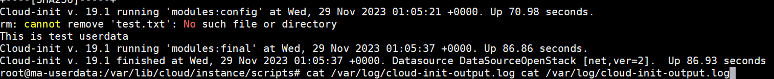 userdata-log.PNG