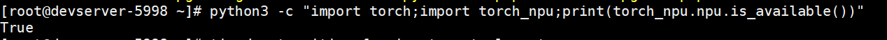 torch-npu.PNG