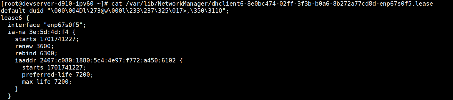ipv62lease.PNG