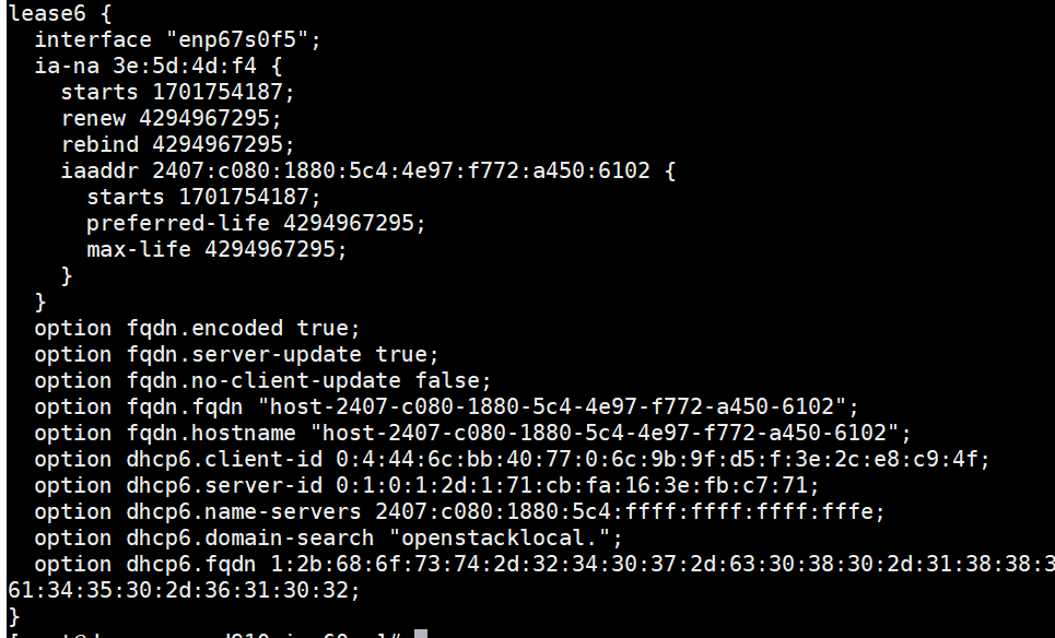 ipv6lease.PNG