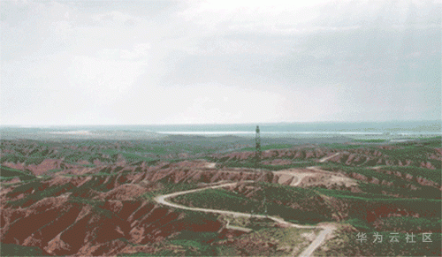 2.gif 2.gif