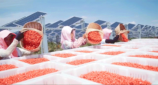 5.gif 5.gif