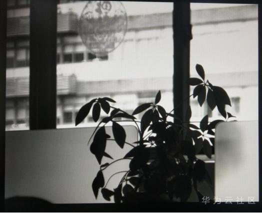 1589335907778085241.png image.png