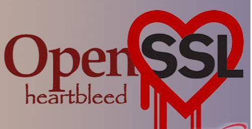 1511506995868319.jpg HeartBleed.jpg