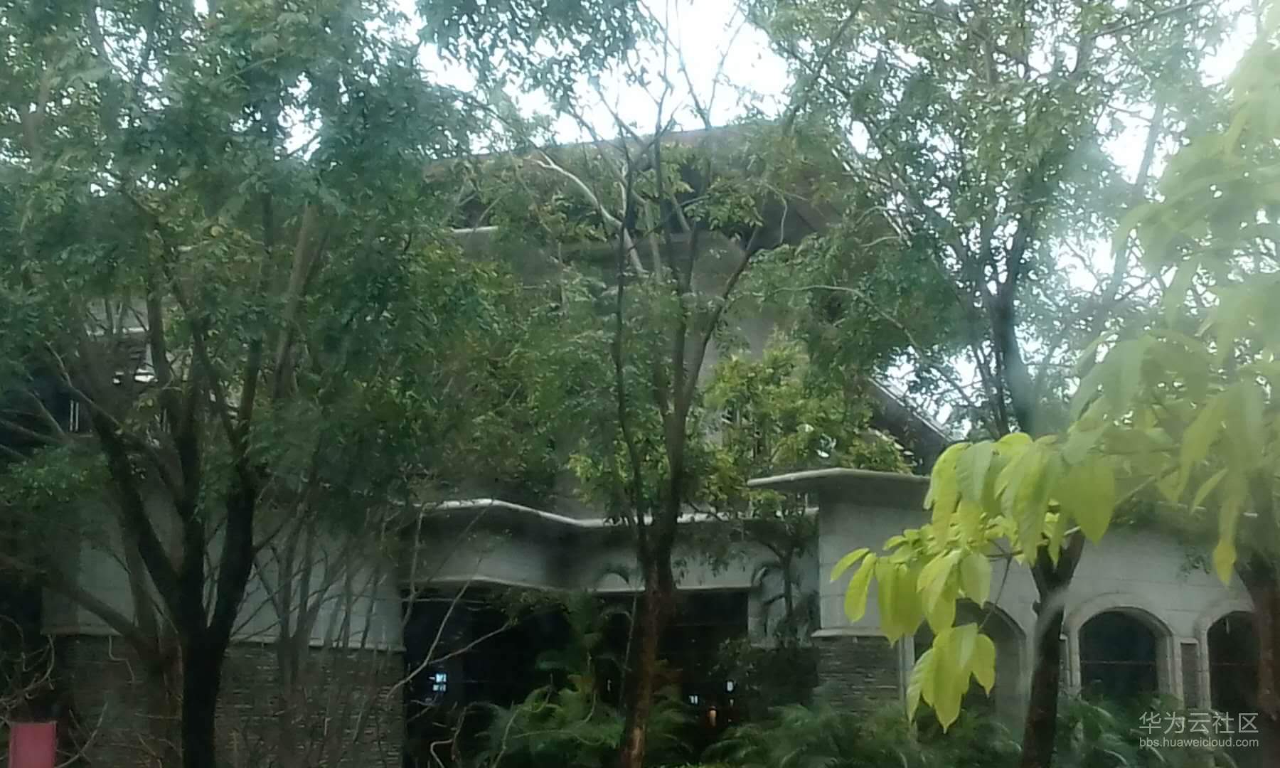 微信图片_20190312173105.jpg