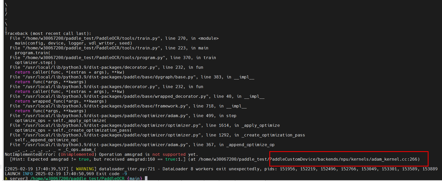 02_Paddle版本老旧造成算子报错