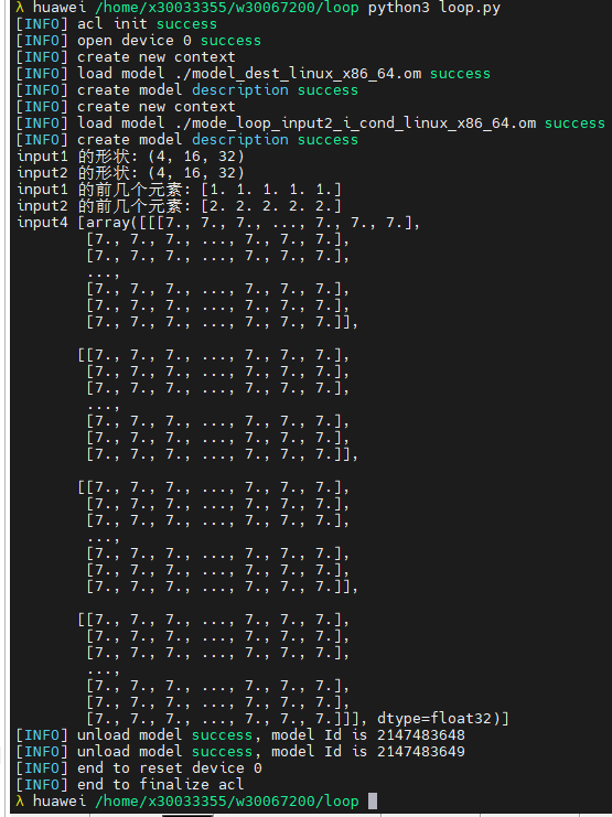 02_动态API推理结果