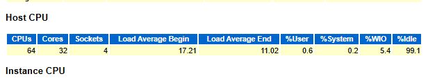 AWR Host CPU：CPU Idle 为 99.1%