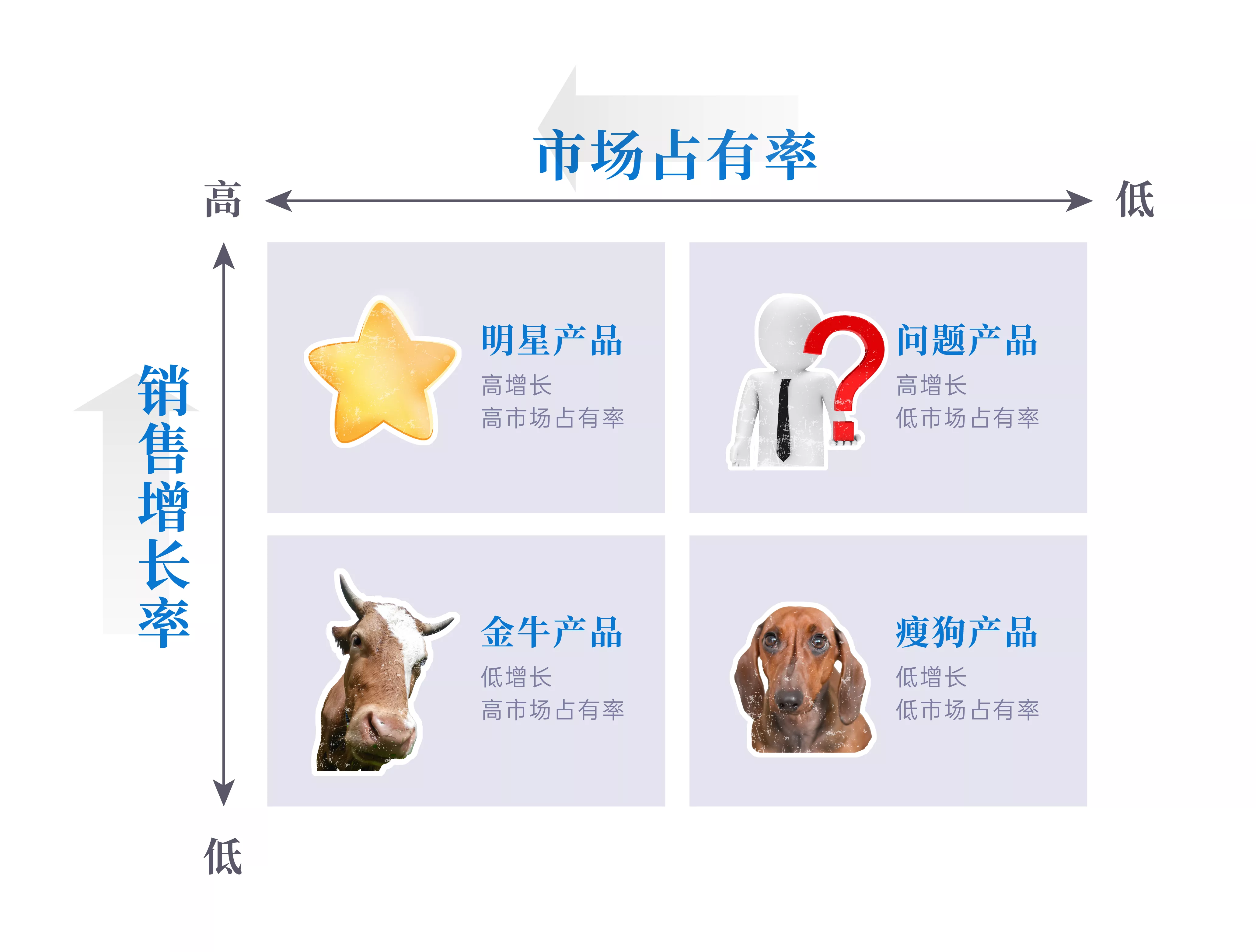 IPD产品研发管理