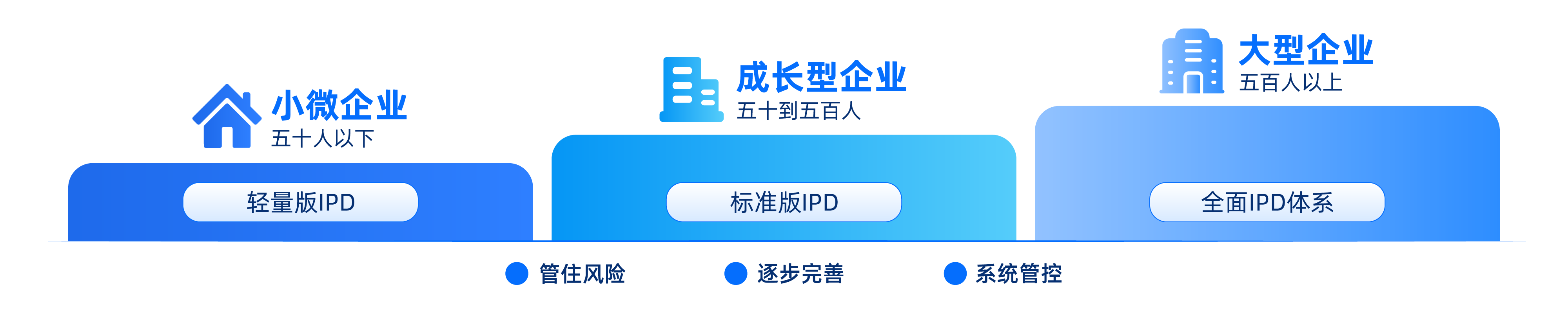 不同规模团队IPD适配方案图
