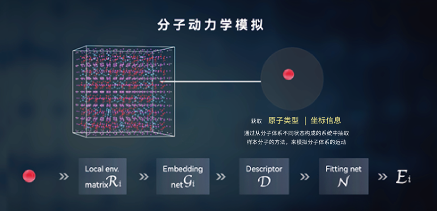 蛋白质预测1.png