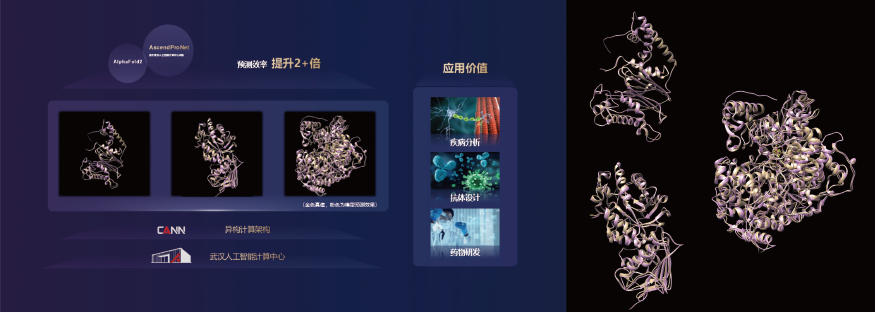 蛋白质预测.png