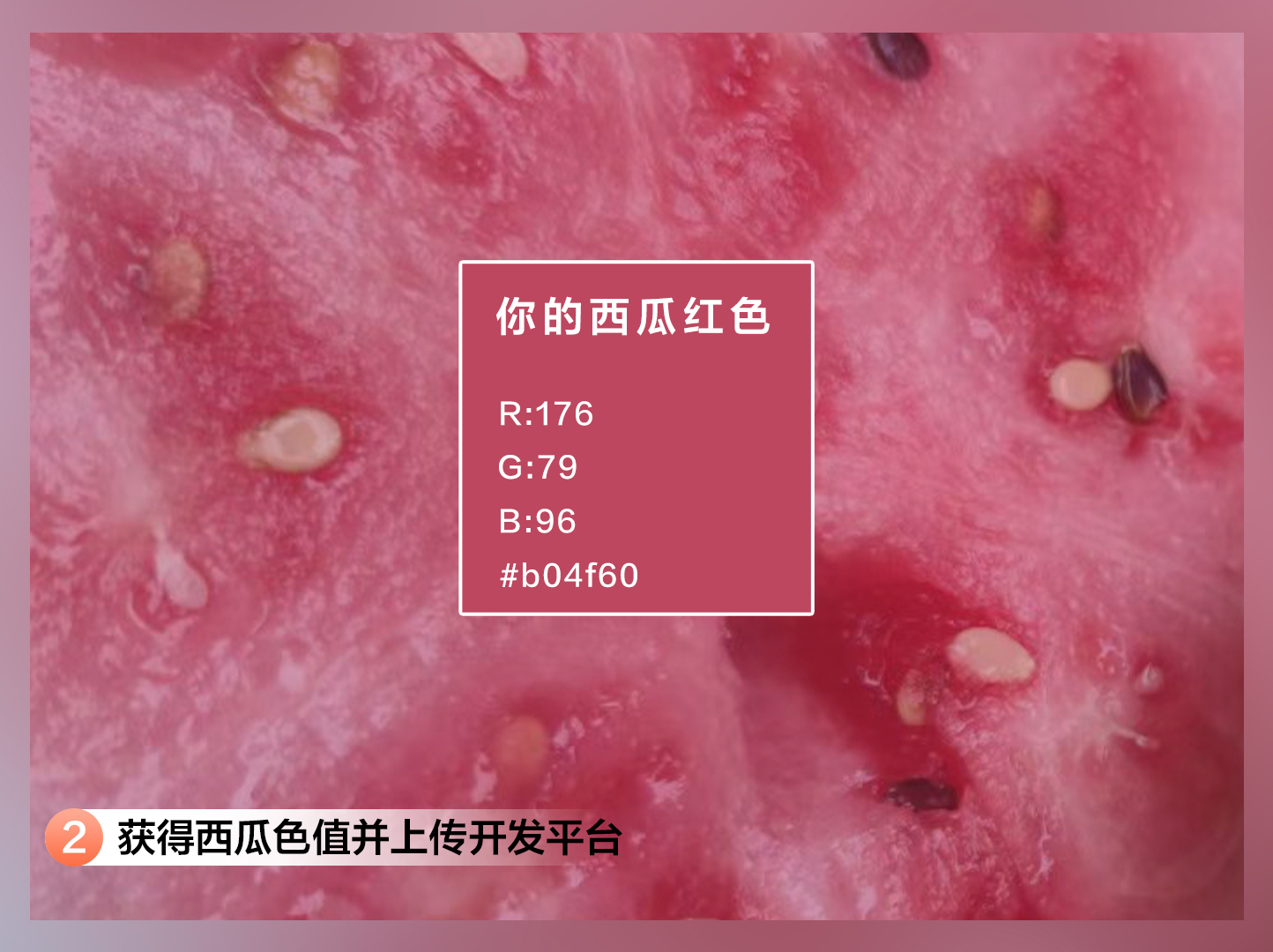 西瓜2.jpg