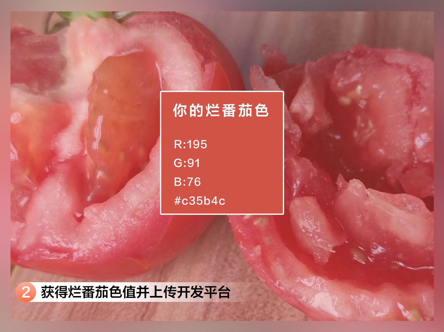 番茄2.jpg