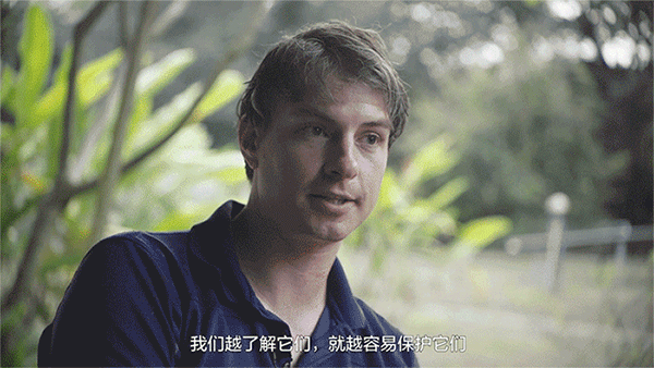 热带雨林600.gif
