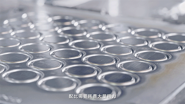 精力.gif
