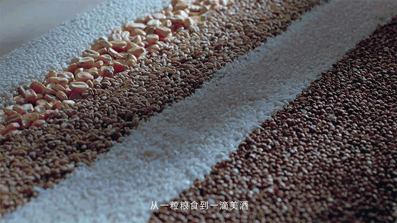 五粮液动图.gif