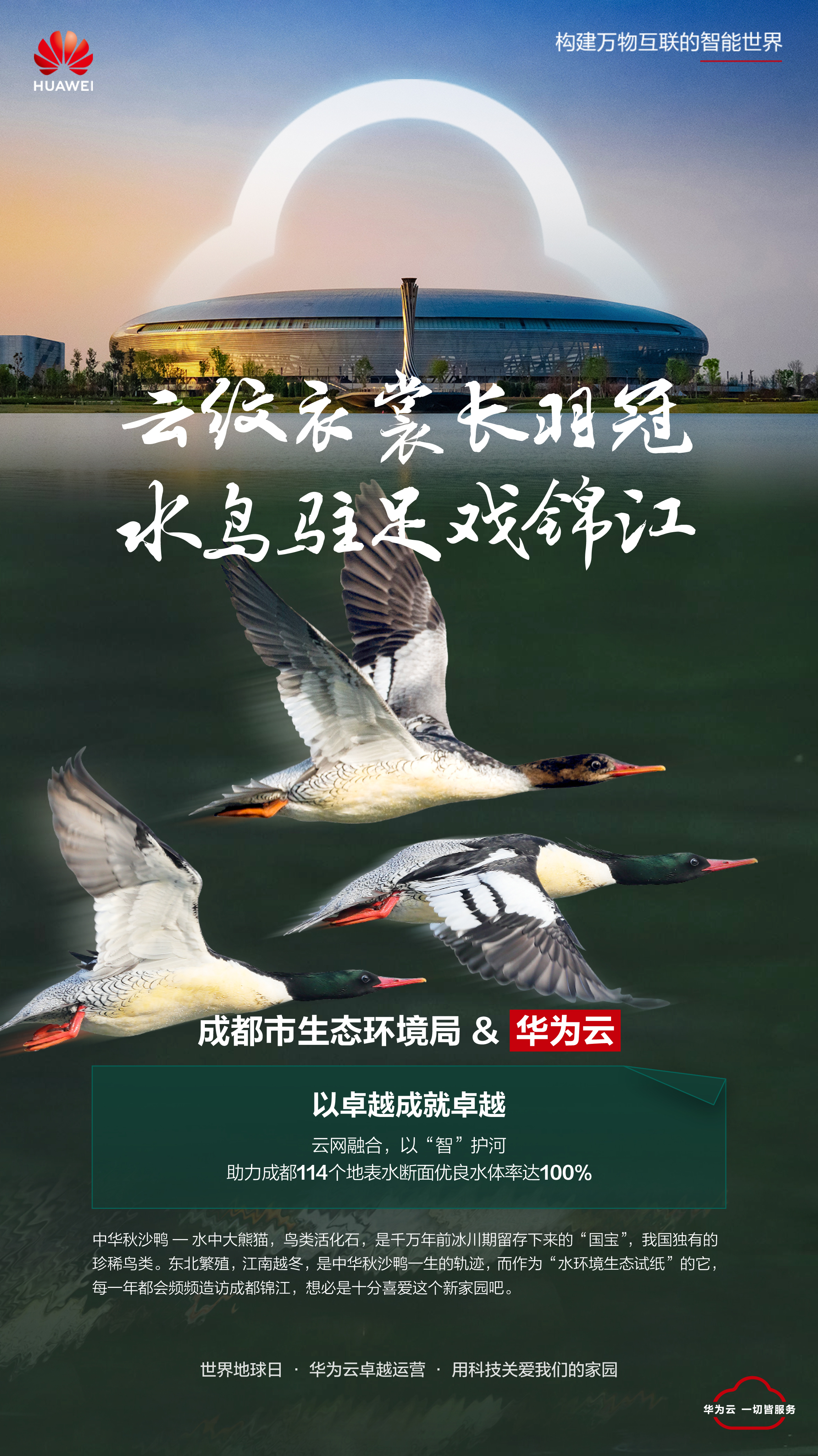 成都.jpg