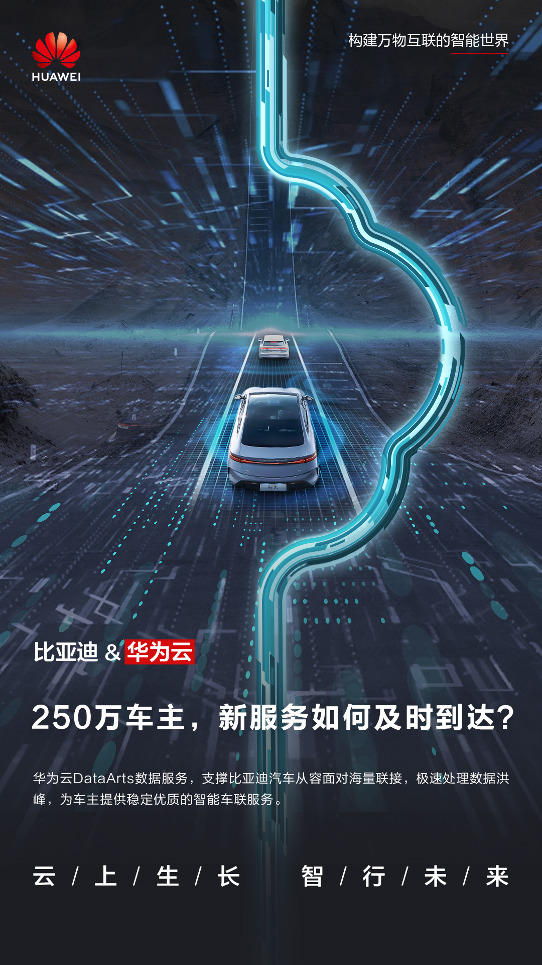 比亚迪.jpg