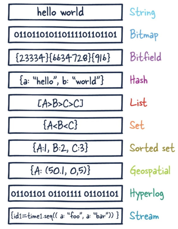 image-20230228135000769.png