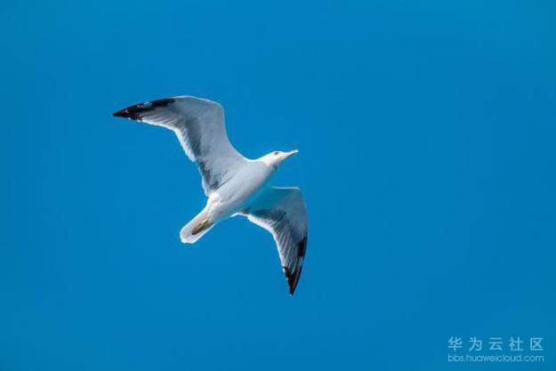 1585623792294170.png 6.png