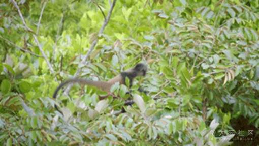 1560415686184933.png image.png