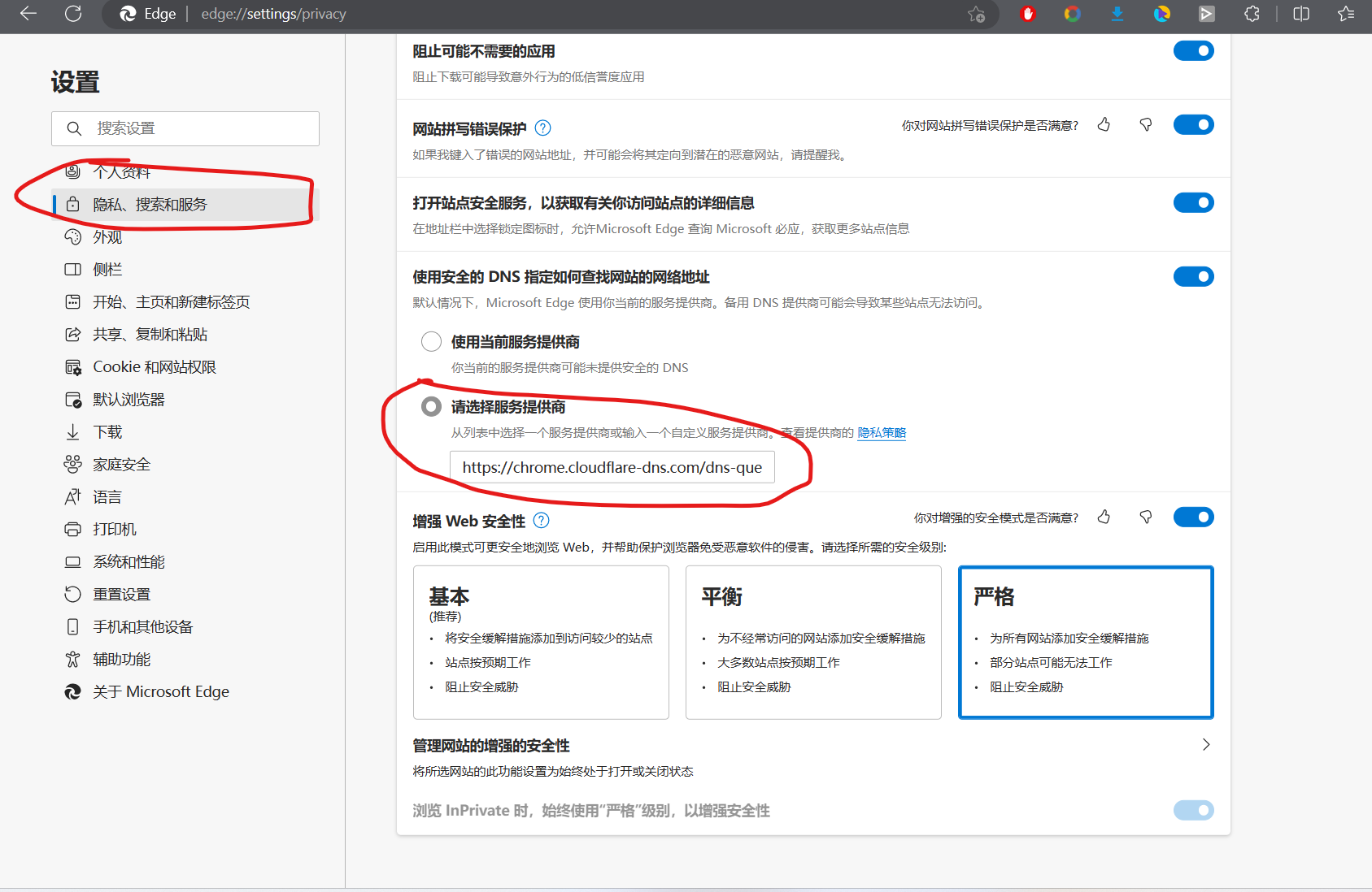 edge浏览器使用dns解析.png