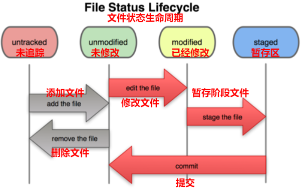 生命周期流程图