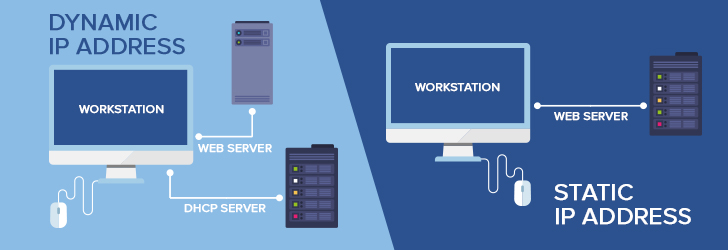 IP.jpg