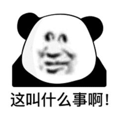 011A3CAF.jpg