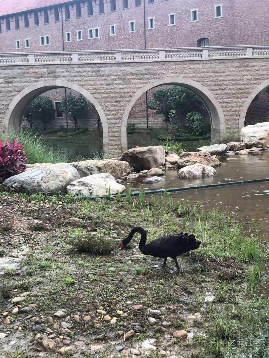 1551961015272596.png image.png