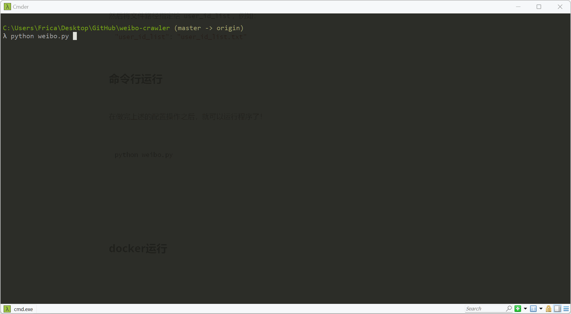 program_run.gif
