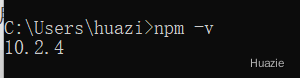 npm-v.png