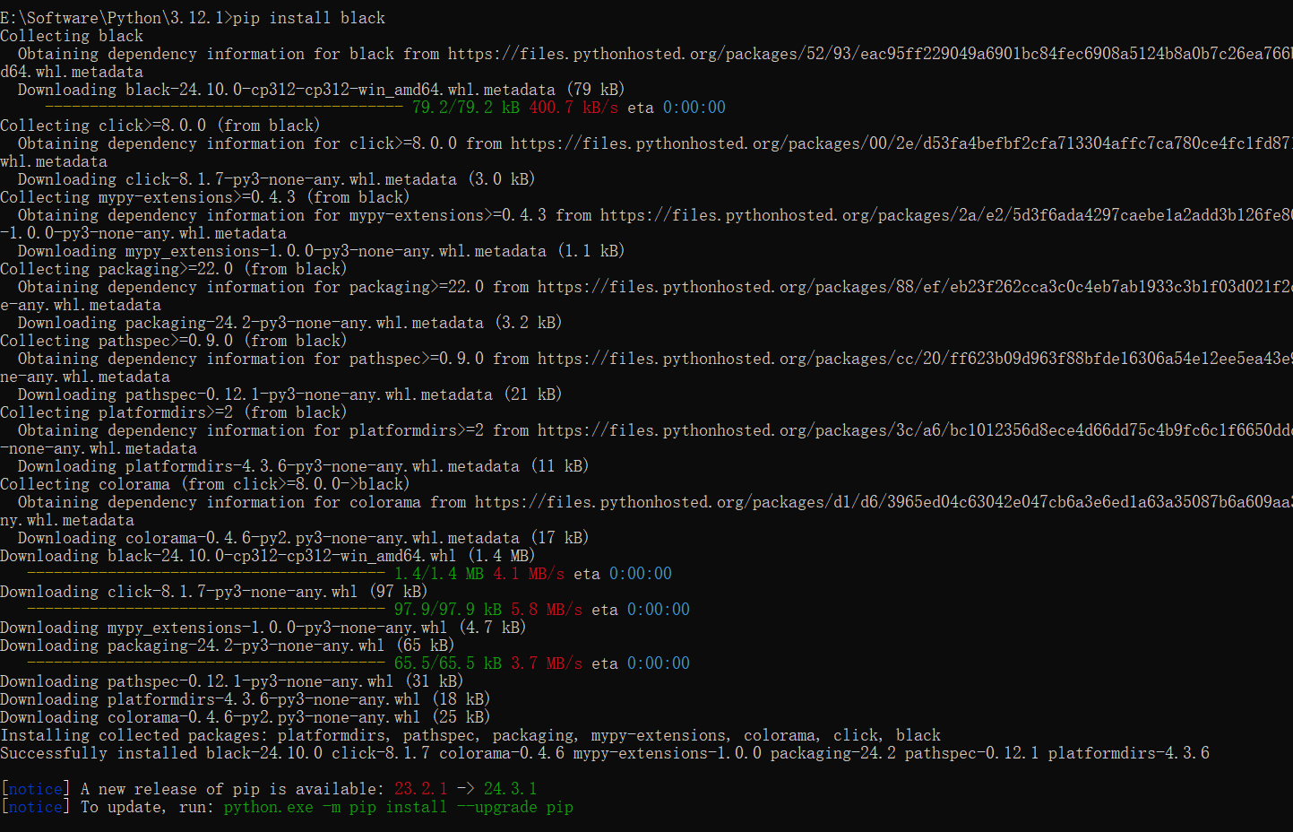 pip-install-black.png