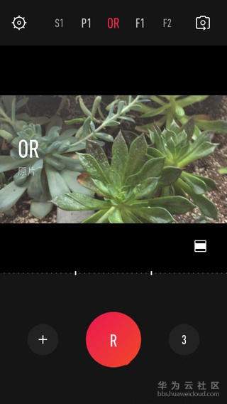 1546171888296217.jpg 3.jpg