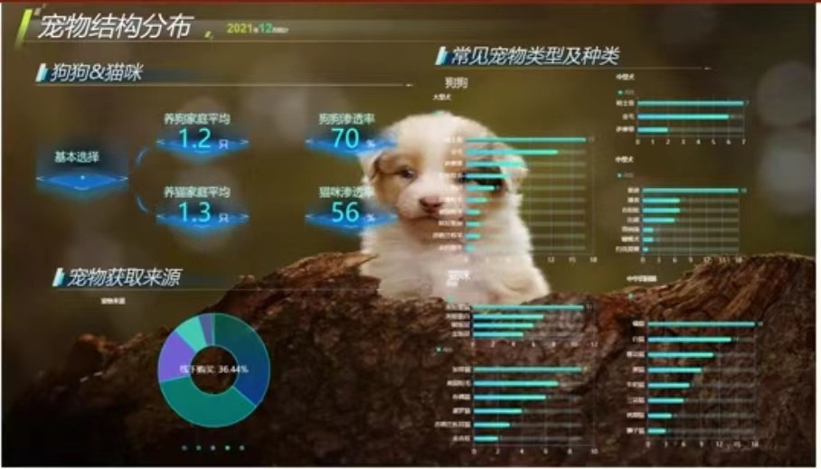 二等奖1.jpg