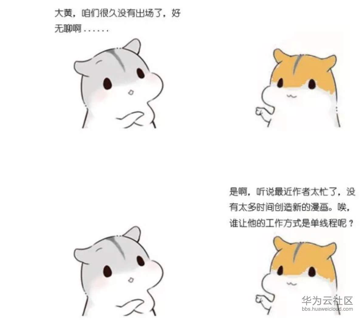 1573355895774254.png