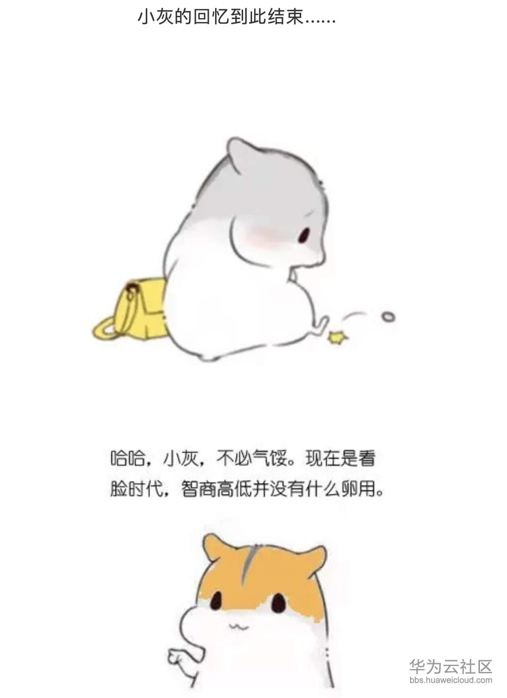 1573209550205030.png